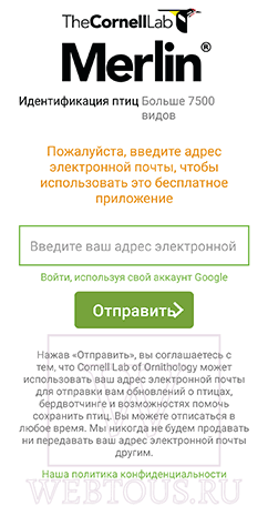 Как распознать птицу по голосу или фото? Бесплатные онлайн определители